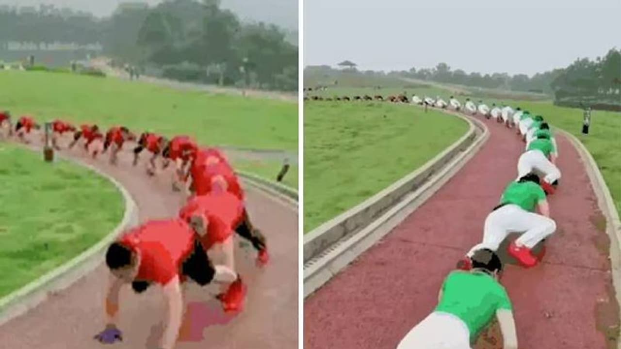 ചൈനയിൽ ട്രെൻഡായി മുതല നടത്തം, ചെയ്യുന്നത് നൂറുകണക്കിനാളുകൾ, മുന്നറിപ്പുമായി ഡോക്ടർമാർ