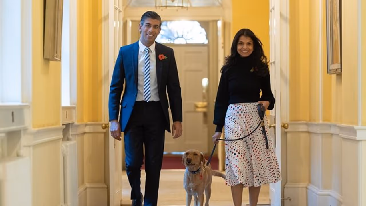 UK PM Rishi Sunak reportedly said 'just let people die', COVID probe panel finds