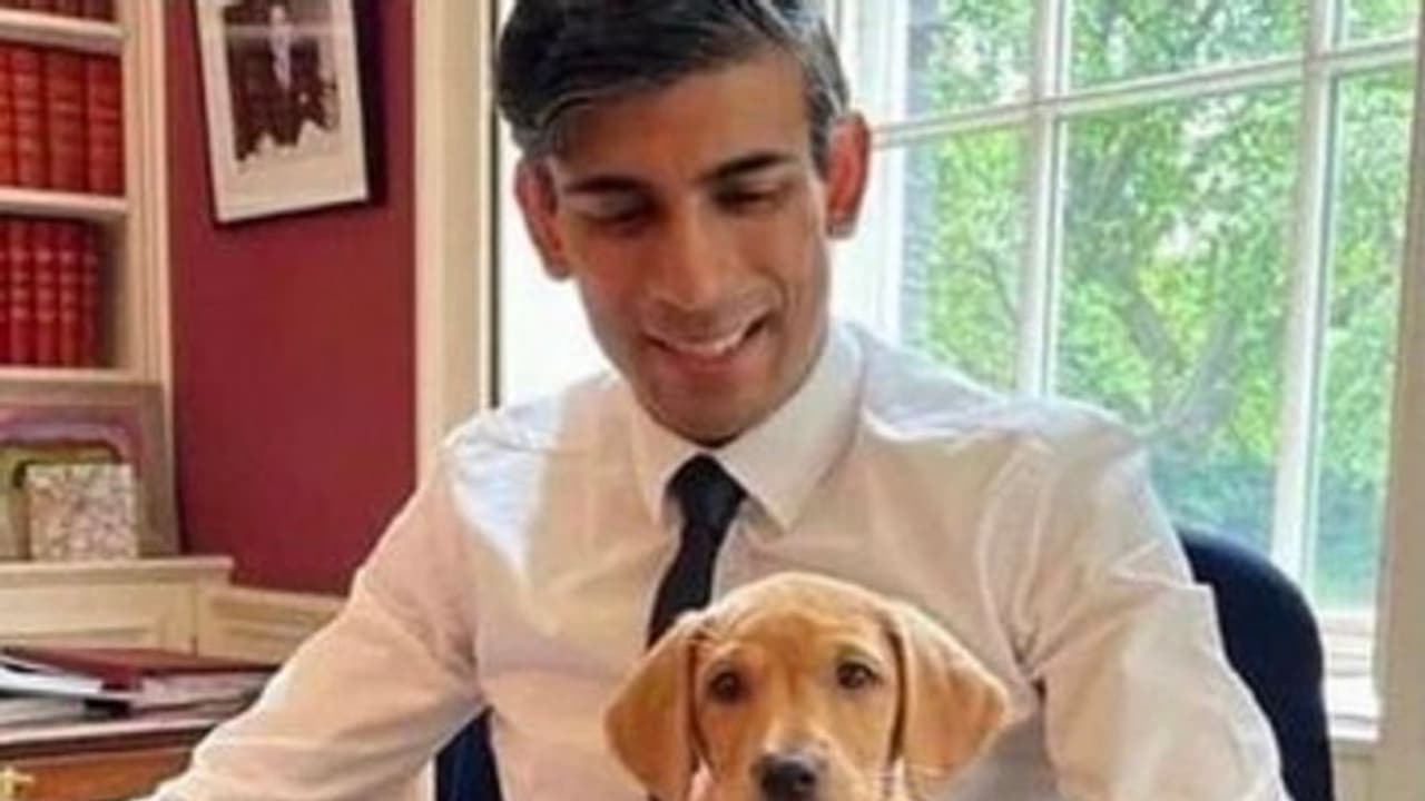 'Illegal immigrants will not be able to apply for asylum': UK PM Rishi Sunak