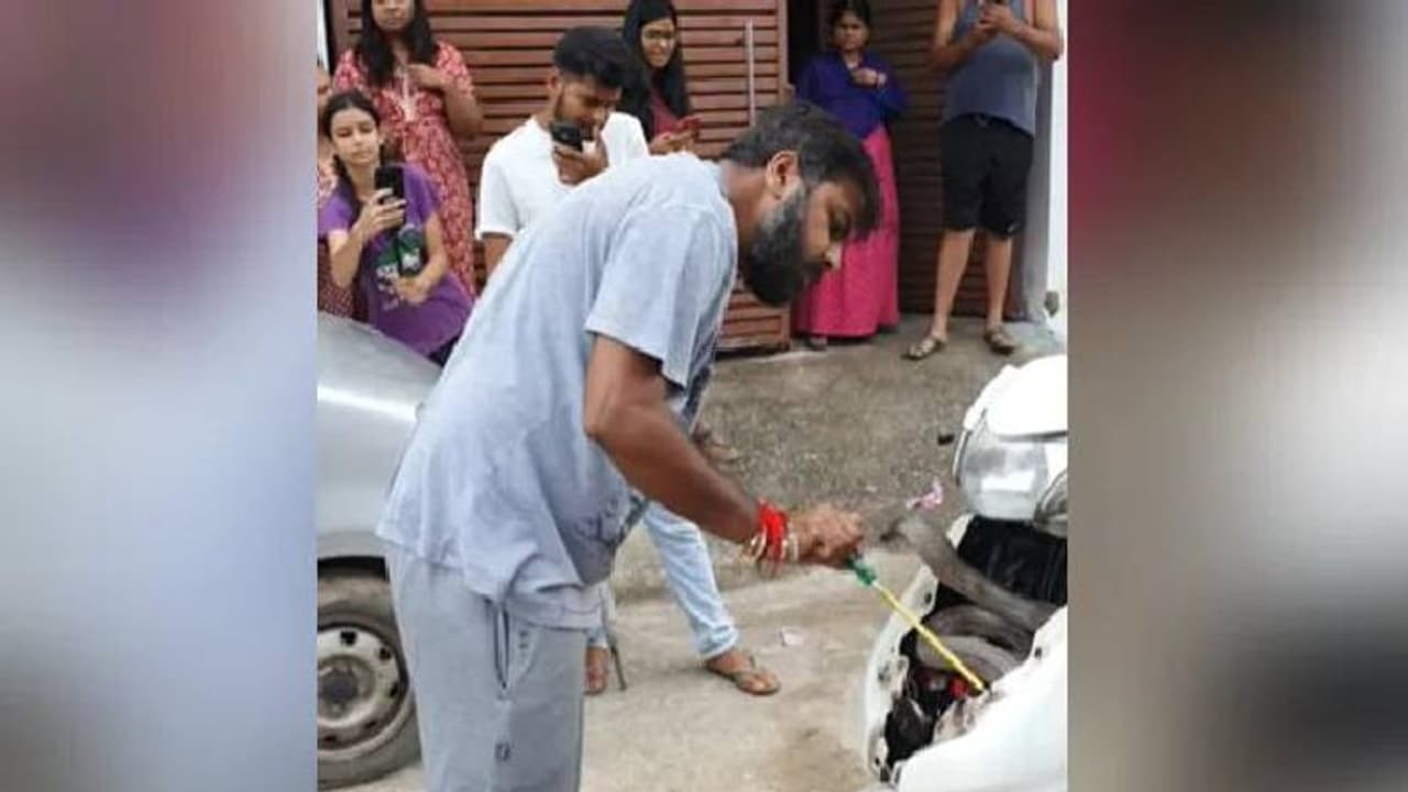 സ്കൂട്ടറിൽ കുടുങ്ങി ഭീമാകാരനായ മൂർഖൻ, രക്ഷപ്പെടുത്തുന്നതിന്റെ വീഡിയോ വൈറൽ