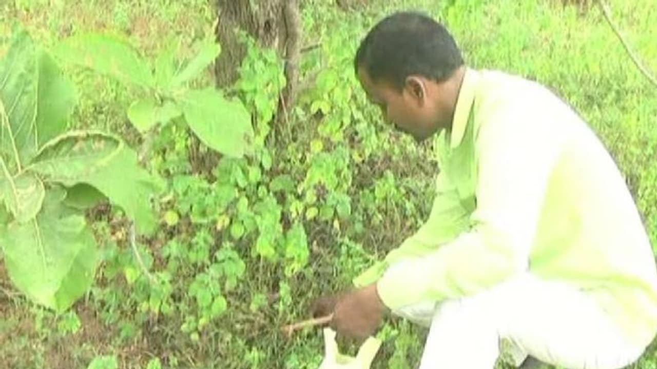 തെലങ്കാനയിലെ 'പച്ച മനുഷ്യൻ', നട്ടത് 15 വർഷത്തിനുള്ളിൽ രണ്ട് ലക്ഷം തൈകൾ തെലങ്കാനയിലെ 'പച്ച മനുഷ്യൻ', നട്ടത് 15 വർഷത്തിനുള്ളിൽ രണ്ട് ലക്ഷം തൈകൾ