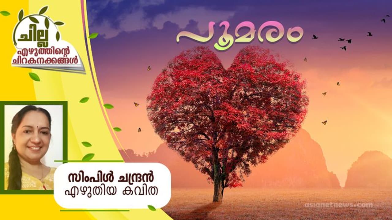 Malayalam Poem: പൂമരം, സിംപിള് ചന്ദ്രന് എഴുതിയ കവിത Malayalam Poem: പൂമരം, സിംപിള് ചന്ദ്രന് എഴുതിയ കവിത