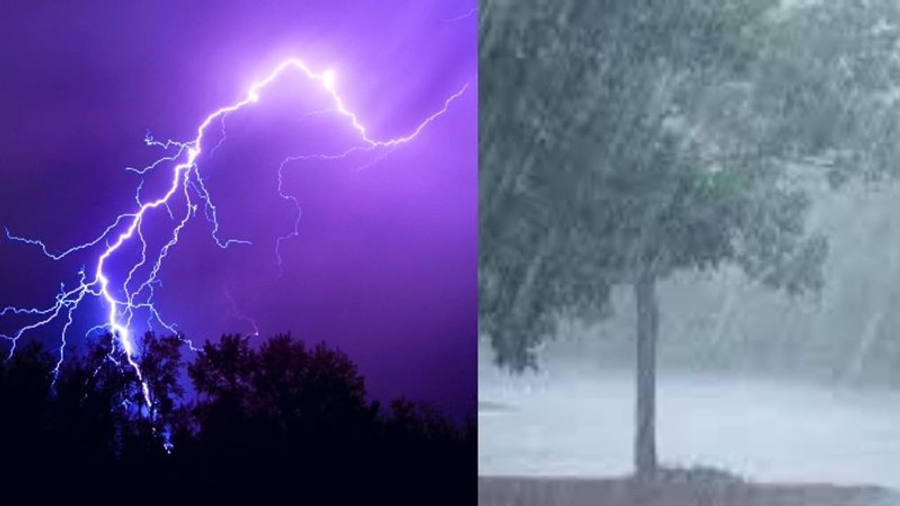 அடுத்த 2 மணி நேரத்திற்கு.. 17 மாவட்டங்களில் மழை கொட்டி தீர்க்கப்போகுது.. வானிலை மையம் எச்சரிக்கை ! அடுத்த 2 மணி நேரத்திற்கு.. 17 மாவட்டங்களில் மழை கொட்டி தீர்க்கப்போகுது.. வானிலை மையம் எச்சரிக்கை !