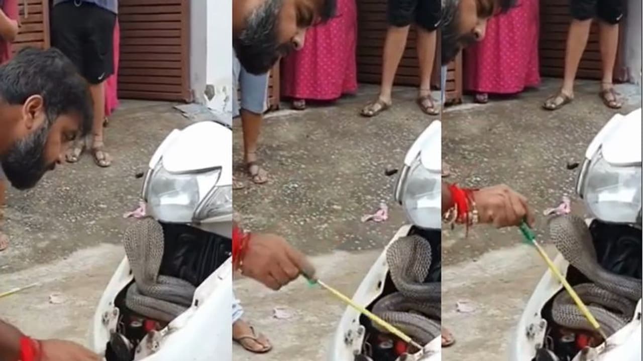 ಸ್ಕೂಟರ್ ಒಳನುಗ್ಗಿ ಬೆಚ್ಚನೆ ಮಲಗಿದ್ದ ಹಾವಿನ ರಕ್ಷಣೆ