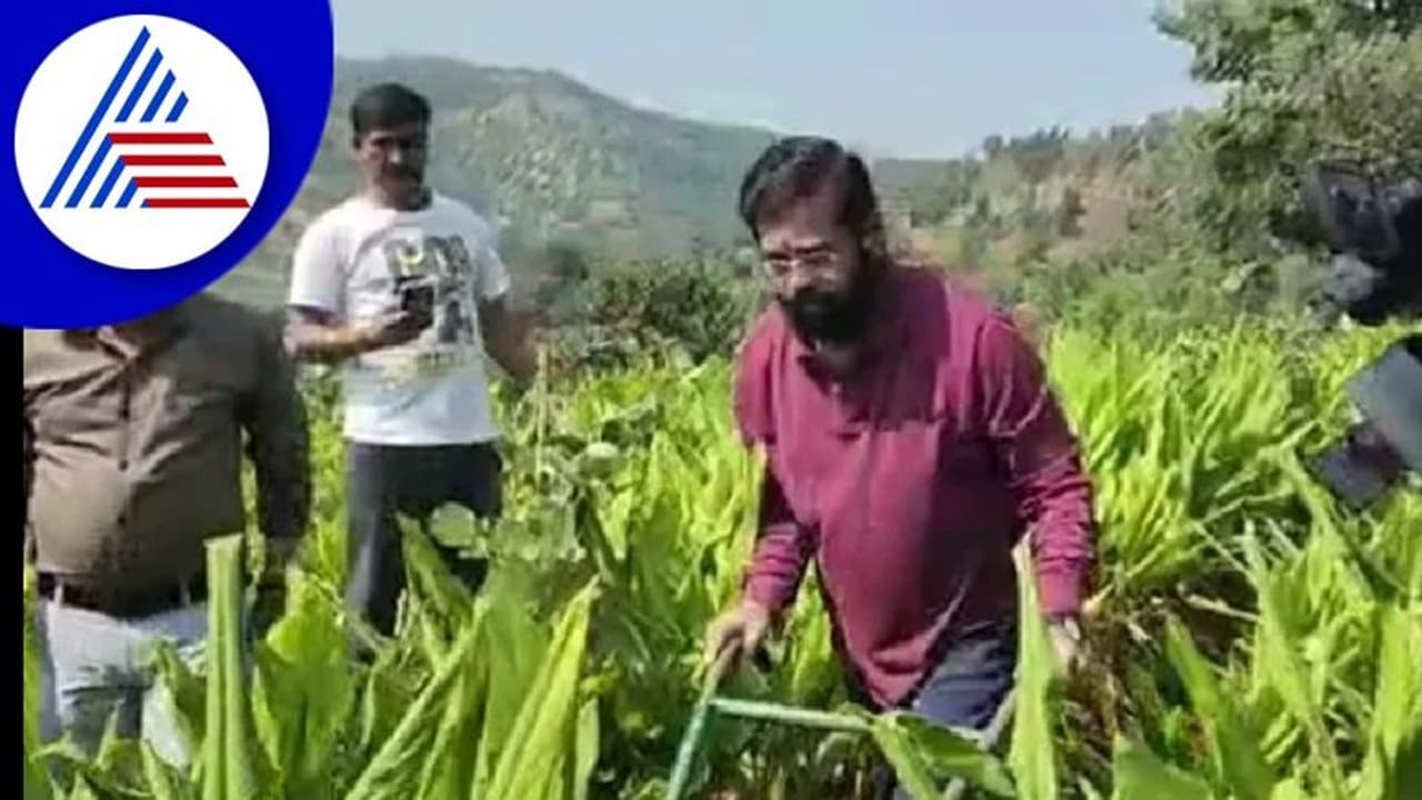 ಸಿಎಂ ಆದರೇನು ರೈತನ ಮಗ... ಹೊಲದಲ್ಲಿ ದುಡಿಯುವ ಮಹಾ ಸಿಎಂ..! ವಿಡಿಯೋ ವೈರಲ್