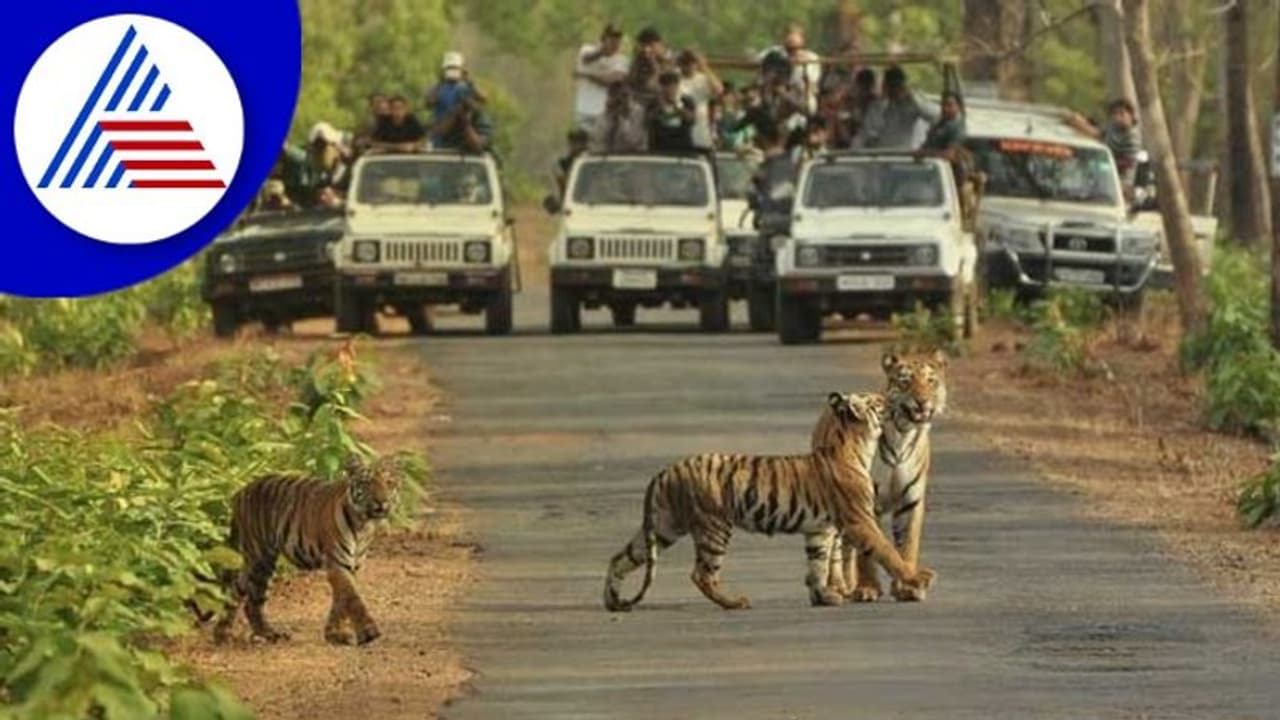 ಬನ್ನೇರುಘಟ್ಟ ರಾಷ್ಟ್ರೀಯ ಉದ್ಯಾನ: Elevated flyover ನಿರ್ಮಾಣಕ್ಕೆ ವನ್ಯಜೀವಿ ಮಂಡಳಿ ಸಭೆಯಲ್ಲಿ ವಿರೋಧ ಬನ್ನೇರುಘಟ್ಟ ರಾಷ್ಟ್ರೀಯ ಉದ್ಯಾನ: Elevated flyover ನಿರ್ಮಾಣಕ್ಕೆ ವನ್ಯಜೀವಿ ಮಂಡಳಿ ಸಭೆಯಲ್ಲಿ ವಿರೋಧ