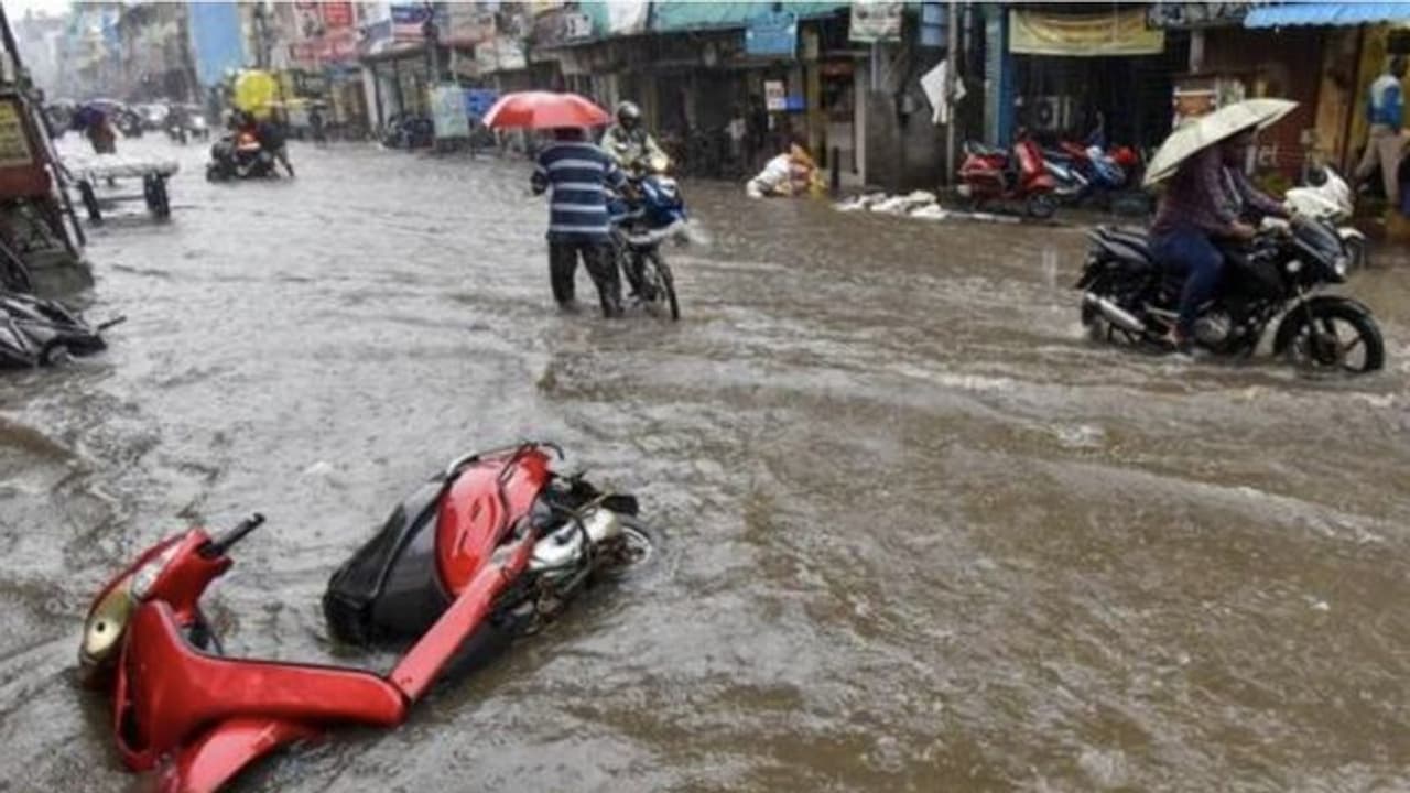 తమిళనాడులో కొనసాగుతున్న భారీ వర్షాలు.. చెన్నైలోని విద్యా సంస్థలకు నేడు సెలవు ప్రకటించిన ప్రభుత్వం తమిళనాడులో కొనసాగుతున్న భారీ వర్షాలు.. చెన్నైలోని విద్యా సంస్థలకు నేడు సెలవు ప్రకటించిన ప్రభుత్వం