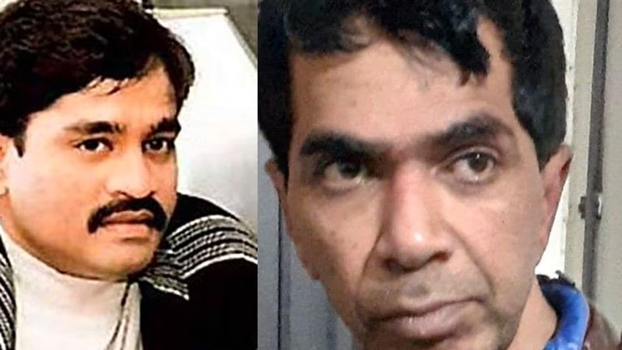 जानें क्यों कुख्यात गैंगेस्टर एजाज लकड़वाला मरे हुए मच्छरों को लेकर पहुंचा कोर्ट, बोला योर ऑनर...