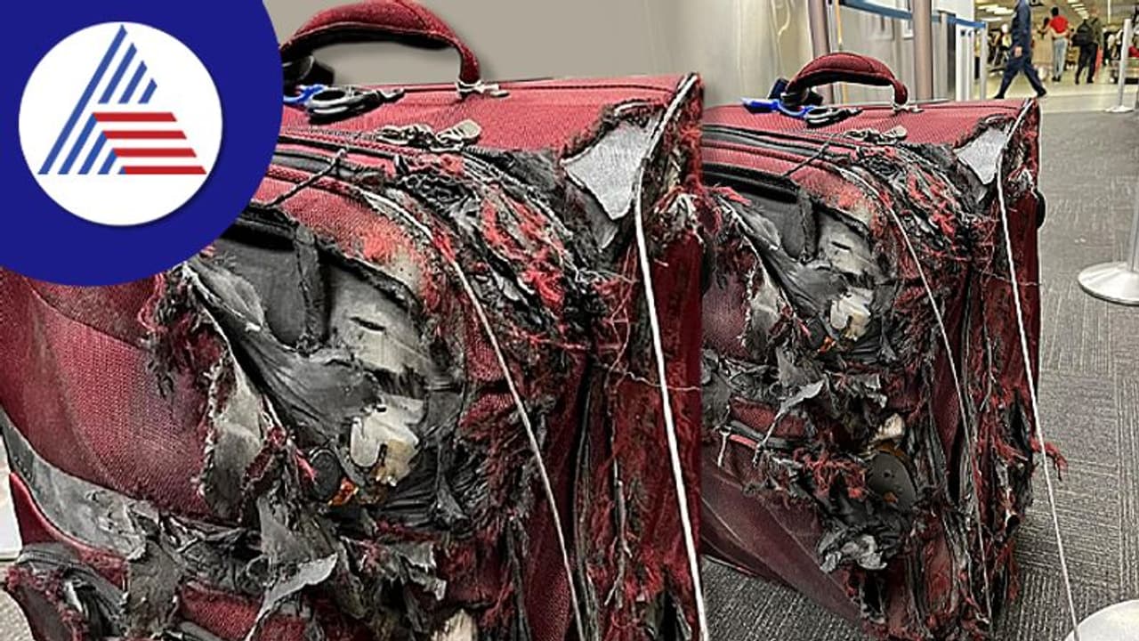 ಆಕ್ಸಿಡೆಂಟ್ ಫೋಟೋ ಅಲ್ಲ... ಇದು ವಿಮಾನ ಪ್ರಯಾಣಿಕರ ಲಗೇಜ್