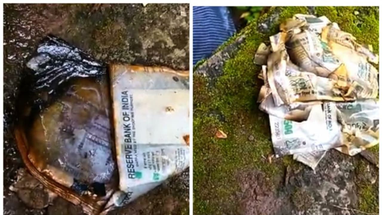 കവുങ്ങുതോട്ടത്തിലെ തോട്ടിൽ 500 രൂപയുടെ കെട്ടുകണക്കിന് നോട്ടുകൾ, ആദ്യം അമ്പരപ്പ്; അന്വേഷിച്ചപ്പോൾ കള്ളനോട്ട് 