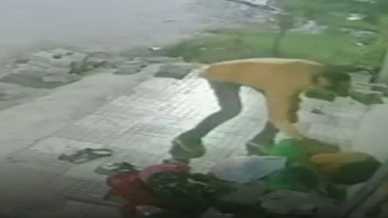 सहारनपुर: महिला को बातों में किया गुमराह, फिर गोद से बच्चा छीनकर फरार हुआ बदमाश, CCTV में कैद हुई करतूत सहारनपुर: महिला को बातों में किया गुमराह, फिर गोद से बच्चा छीनकर फरार हुआ बदमाश, CCTV में कैद हुई करतूत