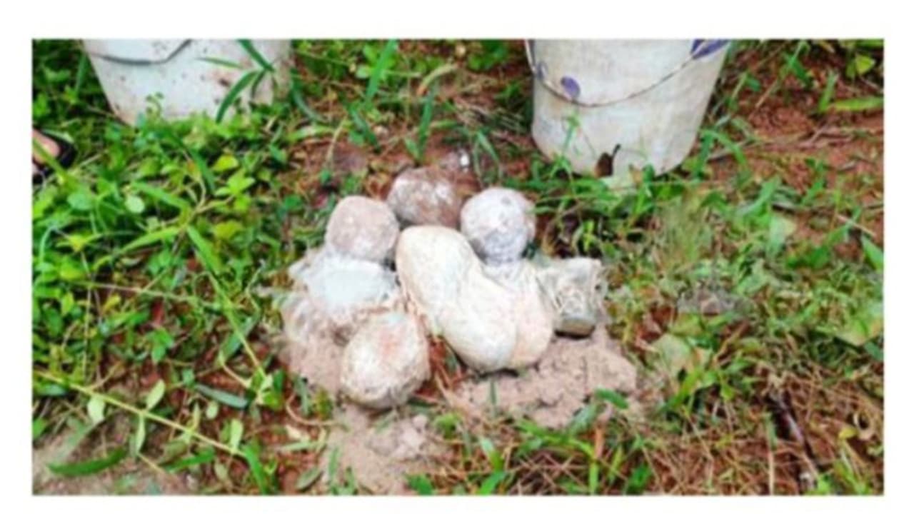 നാദാപുരത്ത് എട്ട് നാടൻ ബോംബുകൾ കണ്ടെത്തി 