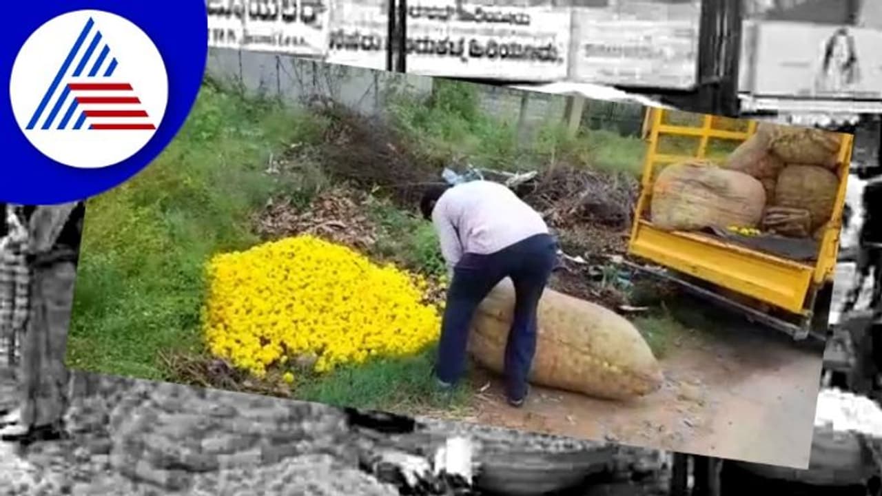  ಬೆಲೆ ಕುಸಿತ: ಹೂವು ರಸ್ತೆಗೆ ಸುರಿದು ಕಣ್ಣೂರಿನ ರೈತರು ಕಣ್ಣೀರು