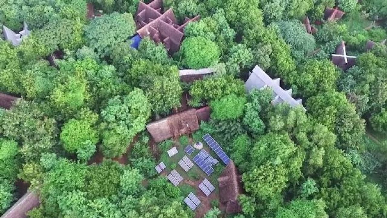 ഇസ്രായേലിൽ നിന്നും തമിഴ് നാട്ടിലേക്ക്, 70 ഏക്കർ ഭൂമി കാടാക്കി മാറ്റിയ ദമ്പതികൾ ഇസ്രായേലിൽ നിന്നും തമിഴ് നാട്ടിലേക്ക്, 70 ഏക്കർ ഭൂമി കാടാക്കി മാറ്റിയ ദമ്പതികൾ