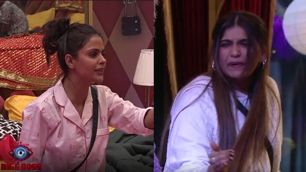 Bigg Boss 16: गाली गलौच पर उतरे कंटेस्टेंट्स, इन 2 के बीच हुई बहस, जानें किस लिए हुआ तमाशा