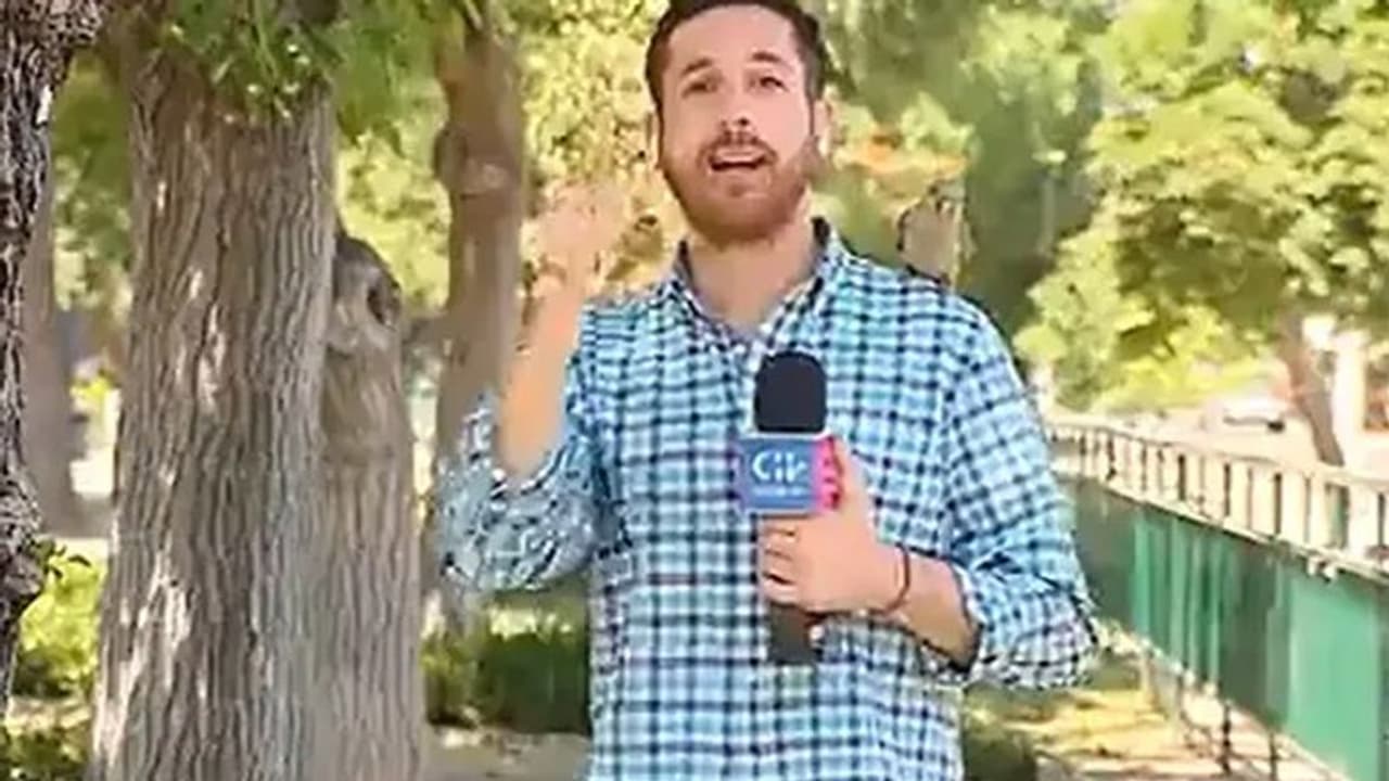 മോഷണം റിപ്പോര്ട്ട് ചെയ്യുന്ന റിപ്പോര്ട്ടറുടെ ഇയര്ഫോണ് മോഷ്ടിച്ചു; മോഷ്ടാവിനെ കണ്ട് ഞെട്ടരുത് വീഡിയോ മോഷണം റിപ്പോര്ട്ട് ചെയ്യുന്ന റിപ്പോര്ട്ടറുടെ ഇയര്ഫോണ് മോഷ്ടിച്ചു; മോഷ്ടാവിനെ കണ്ട് ഞെട്ടരുത് വീഡിയോ