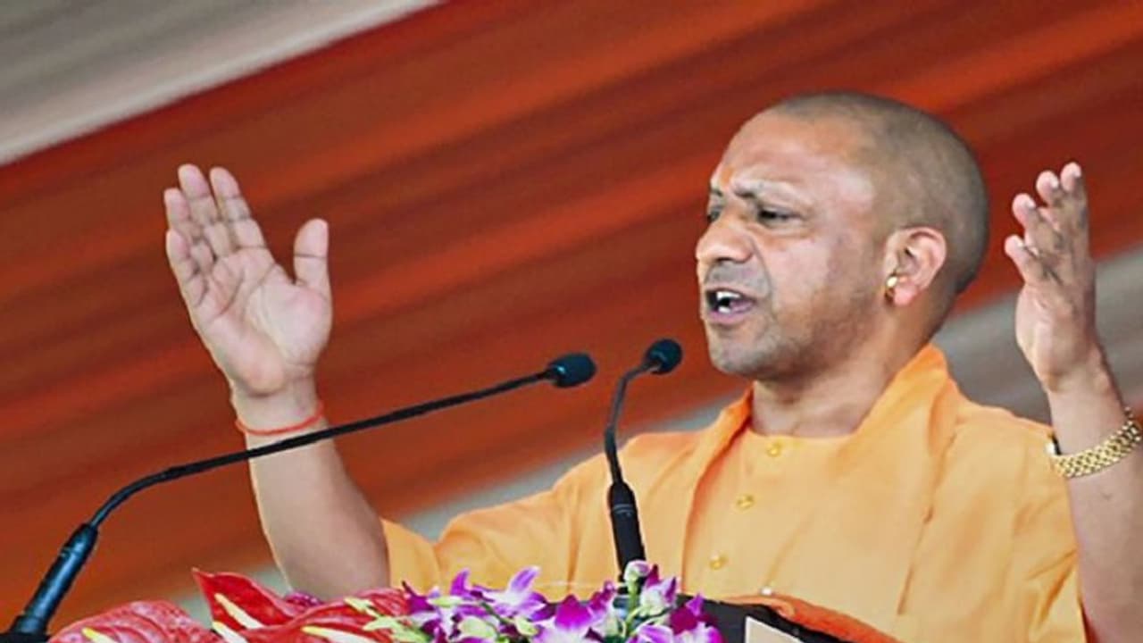 Congress does not care for people's sentiments: CM Yogi Adityanath in poll bound Himachal Pradesh Congress does not care for people's sentiments: CM Yogi Adityanath in poll bound Himachal Pradesh