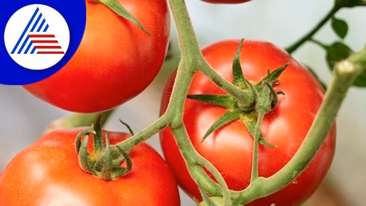 ಕೃಷಿ ಬೆಲೆ ಆಯೋಗಕ್ಕೆ 4 ತಿಂಗಳಿಂದ ಅಧ್ಯಕ್ಷರೇ ಇಲ್ಲ! 