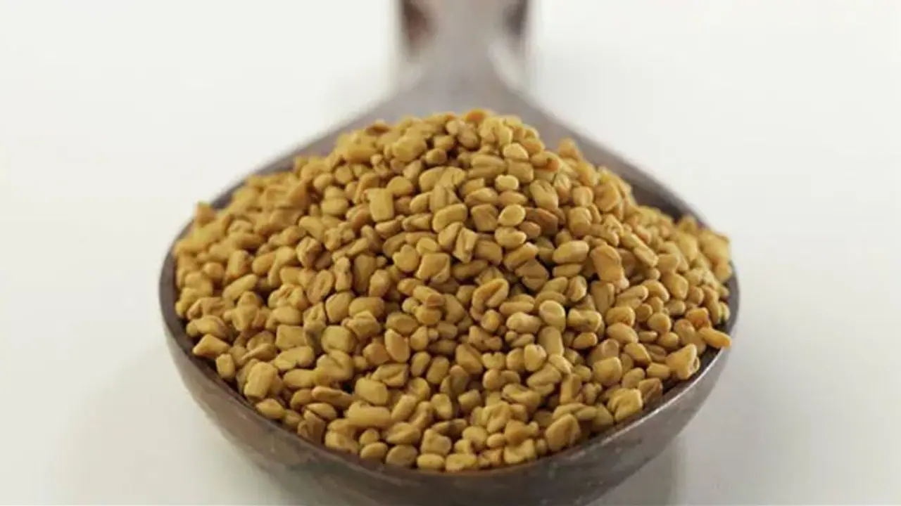 छोटा सा मेथी दाना आपके बालों के लिए है रामबाण, इस तरह इससे बनाएं तीन हेयर मास्क छोटा सा मेथी दाना आपके बालों के लिए है रामबाण, इस तरह इससे बनाएं तीन हेयर मास्क