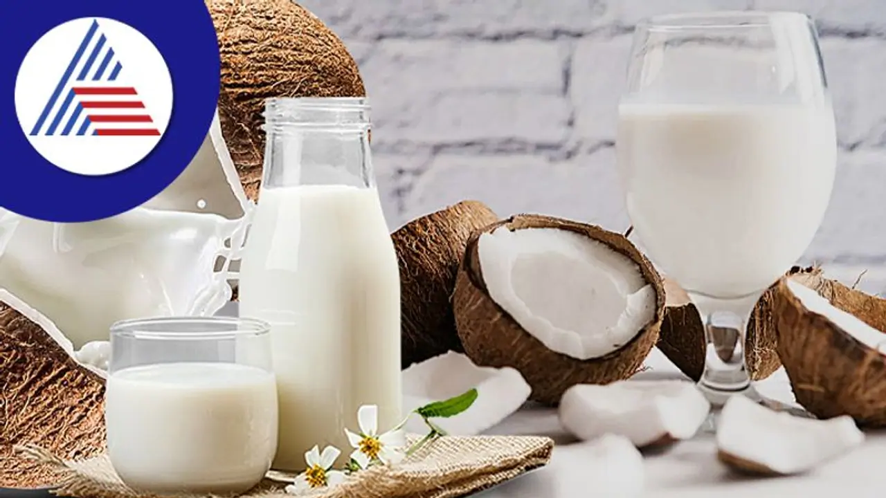 Coconut Milk: ಮನೆಯಲ್ಲೇ ತಯಾರಿಸಿ ರುಚಿಯಾದ ತೆಂಗಿನಕಾಯಿ ಹಾಲು Coconut Milk: ಮನೆಯಲ್ಲೇ ತಯಾರಿಸಿ ರುಚಿಯಾದ ತೆಂಗಿನಕಾಯಿ ಹಾಲು