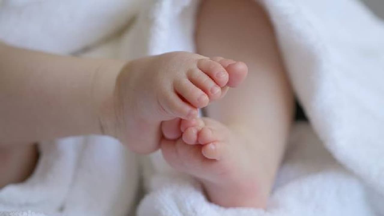 ലോക ജനസംഖ്യ 800 കോടിയിലെത്താൻ ഇനി ദിവസങ്ങൾ മാത്രം! 800 കോടി ജനങ്ങൾ ഭൂമിക്ക് ഒരു ഭാരമോ? ലോക ജനസംഖ്യ 800 കോടിയിലെത്താൻ ഇനി ദിവസങ്ങൾ മാത്രം! 800 കോടി ജനങ്ങൾ ഭൂമിക്ക് ഒരു ഭാരമോ?