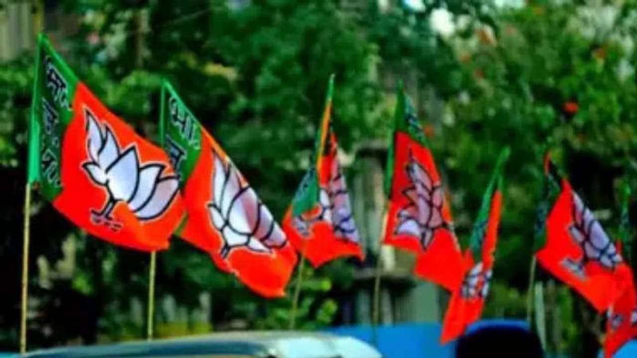 MCD Elections 2022: JP Nadda, Rajnath Singh, among other top BJP leaders to hold 14 rallies today