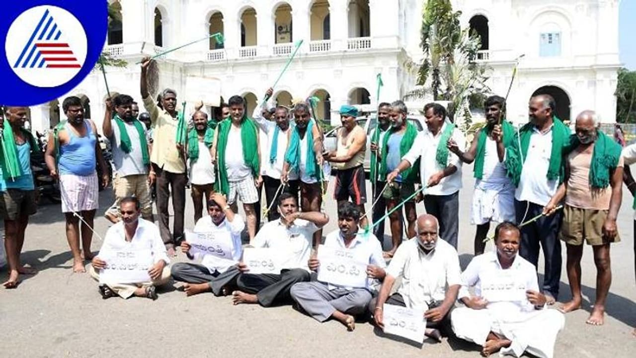 ಮೈಸೂರು: ಕಬ್ಬು ಬೆಳೆಗಾರರಿಂದ ಬಾರುಕೋಲು ಚಳವಳಿ, ಸರ್ಕಾರಕ್ಕೆ ಎಚ್ಚರಿಕೆ ನೀಡಿದ ಅನ್ನದಾತರು..!