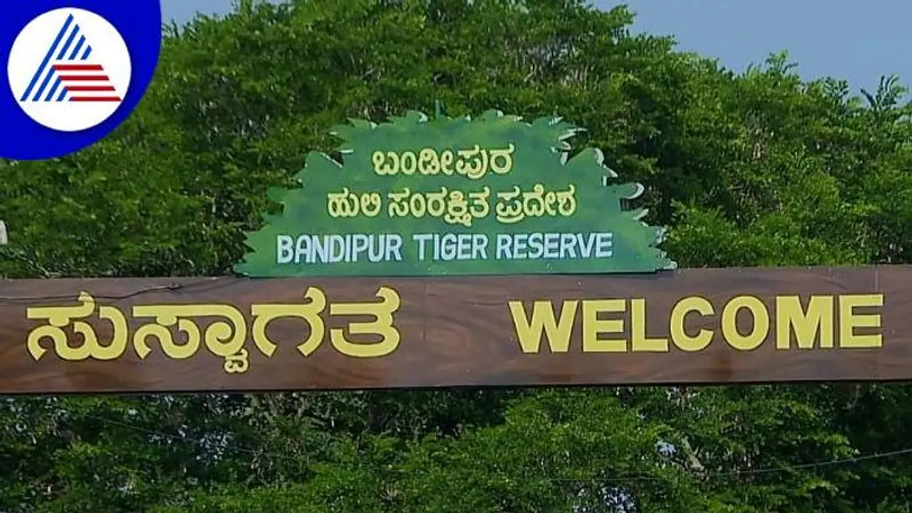 ಬಂಡೀಪುರ ಹುಲಿ ರಕ್ಷಿತಾರಣ್ಯ: ಷಟ್ಪಥ ಸುರಂಗ ಮಾರ್ಗಕ್ಕೆ ಕೇಂದ್ರದ ಚಿಂತನೆ 