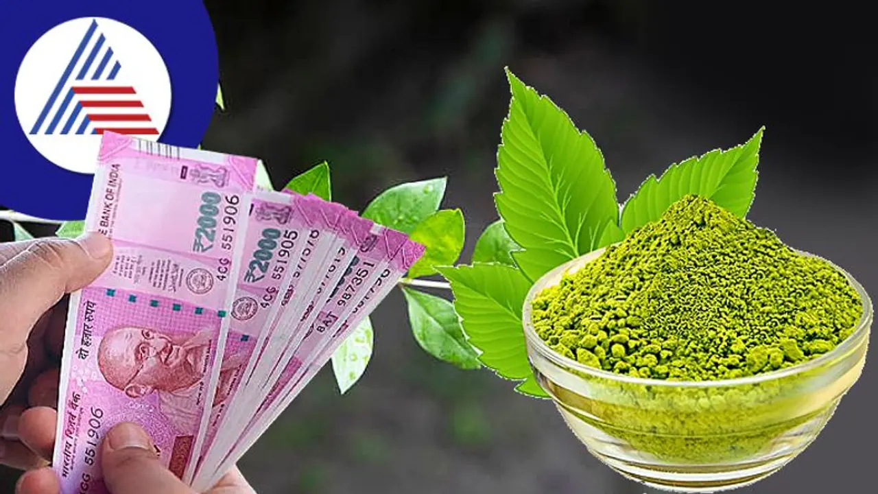 ಮಹಿಳೆಯರು ಹೆಚ್ಚು ರಿಸ್ಕ್ ಇಲ್ಲದೇ ಮಾಡೋ ಬ್ಯುಸಿನೆಸ್ ಇದು!