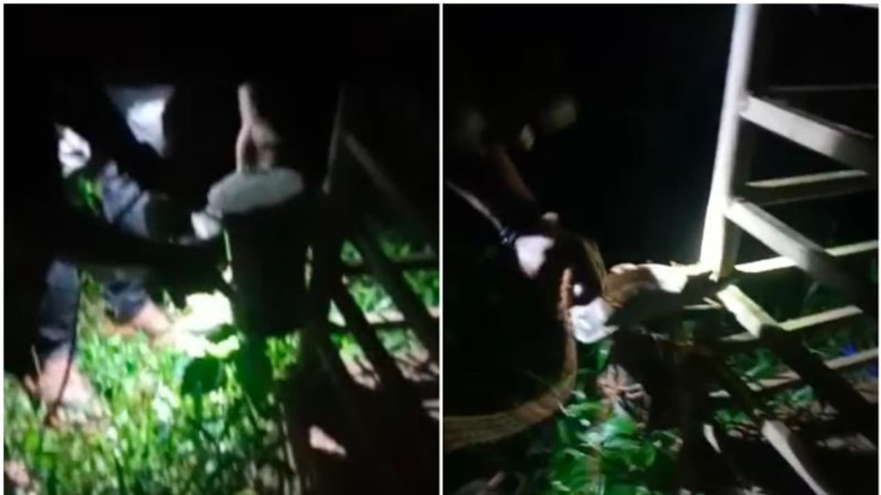 വിതുരയില്‍ പുലിയെ കണ്ടെന്ന് നാട്ടുകാര്‍; ക്യാമറകള്‍ സ്ഥാപിച്ച് വനം വകുപ്പ് 