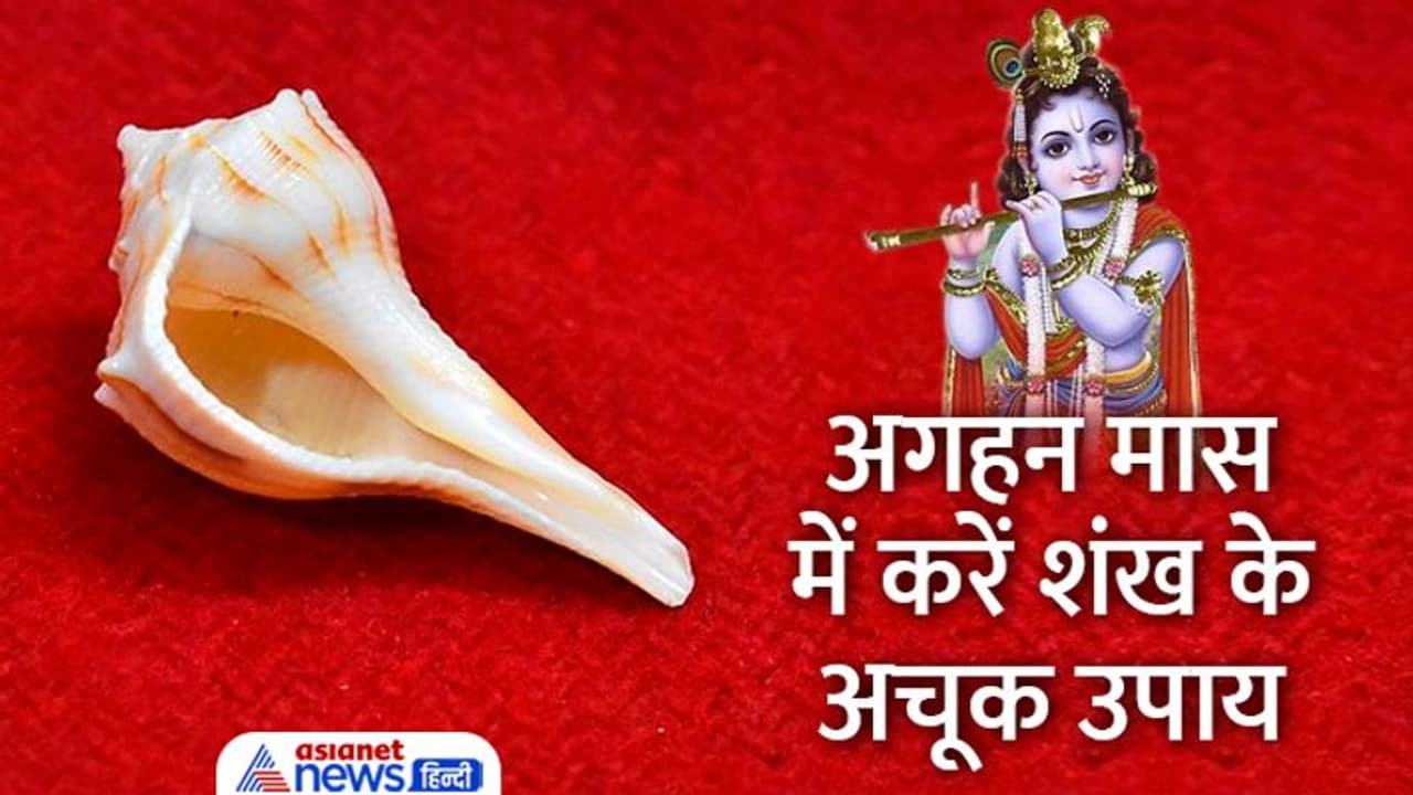 Aghan Month Upay: 8 दिसंबर से पहले करें ये 5 उपाय, धन लाभ के साथ साथ घर आएगी सुख समृद्धि भी Aghan Month Upay: 8 दिसंबर से पहले करें ये 5 उपाय, धन लाभ के साथ साथ घर आएगी सुख समृद्धि भी