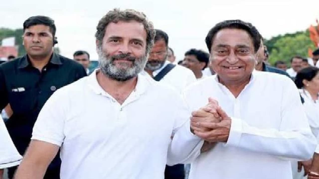 महाकाल ओंकारेश्वर में पूजन करेंगे राहुल गांधी, देखिए मध्य प्रदेश में भारत जोड़ो यात्रा रूट और शेड्यूल महाकाल ओंकारेश्वर में पूजन करेंगे राहुल गांधी, देखिए मध्य प्रदेश में भारत जोड़ो यात्रा रूट और शेड्यूल