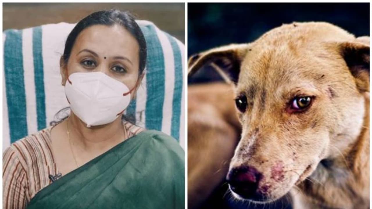 'വാക്സീനുകൾ ഗുണവിലവാരമുള്ളത്', കുത്തിവെപ്പെടുത്തിട്ടും മരണത്തിന് കാരണം ആഴത്തിലേറ്റ മുറിവെന്ന് വിദഗ്ദ്ധ സമിതി 'വാക്സീനുകൾ ഗുണവിലവാരമുള്ളത്', കുത്തിവെപ്പെടുത്തിട്ടും മരണത്തിന് കാരണം ആഴത്തിലേറ്റ മുറിവെന്ന് വിദഗ്ദ്ധ സമിതി