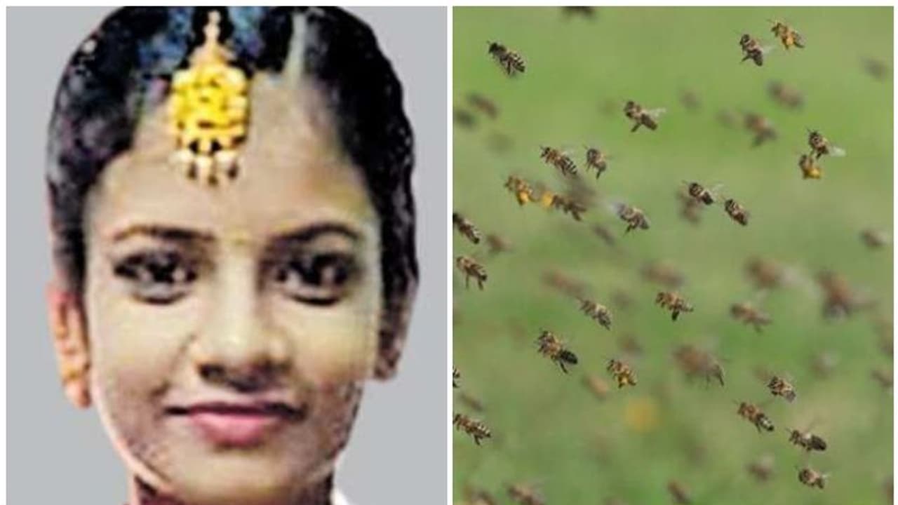 തേനീച്ച കുത്തി, പൊലിഞ്ഞത് 14കാരിയുടെ ജീവന്; സര്ക്കാര് 10 ലക്ഷം രൂപ നഷ്ടപരിഹാരം നല്കണമെന്ന് ഉത്തരവ് തേനീച്ച കുത്തി, പൊലിഞ്ഞത് 14കാരിയുടെ ജീവന്; സര്ക്കാര് 10 ലക്ഷം രൂപ നഷ്ടപരിഹാരം നല്കണമെന്ന് ഉത്തരവ്