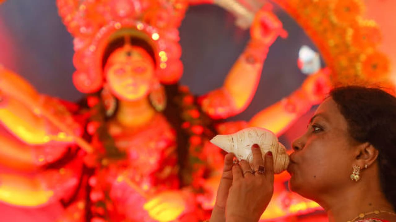 Conch Shell Conch Shell