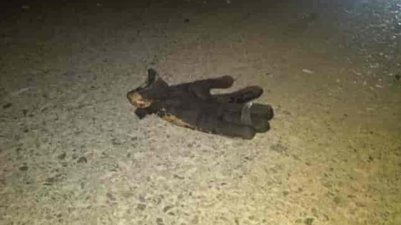 Shocking Accident: दो बसों की भीषण टक्कर, एक यात्री की हथेली कटकर दूर जा गिरी Shocking Accident: दो बसों की भीषण टक्कर, एक यात्री की हथेली कटकर दूर जा गिरी