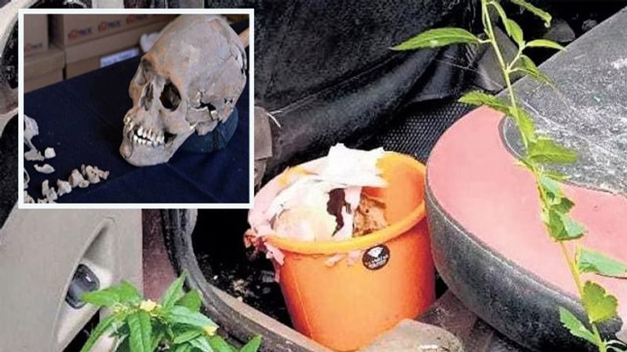 नीलामी के लिए थाने में रखी थी कार, जब खोलकर देखा तो वहां मौजूद हर कोई हो गया शॉक्ड नीलामी के लिए थाने में रखी थी कार, जब खोलकर देखा तो वहां मौजूद हर कोई हो गया शॉक्ड