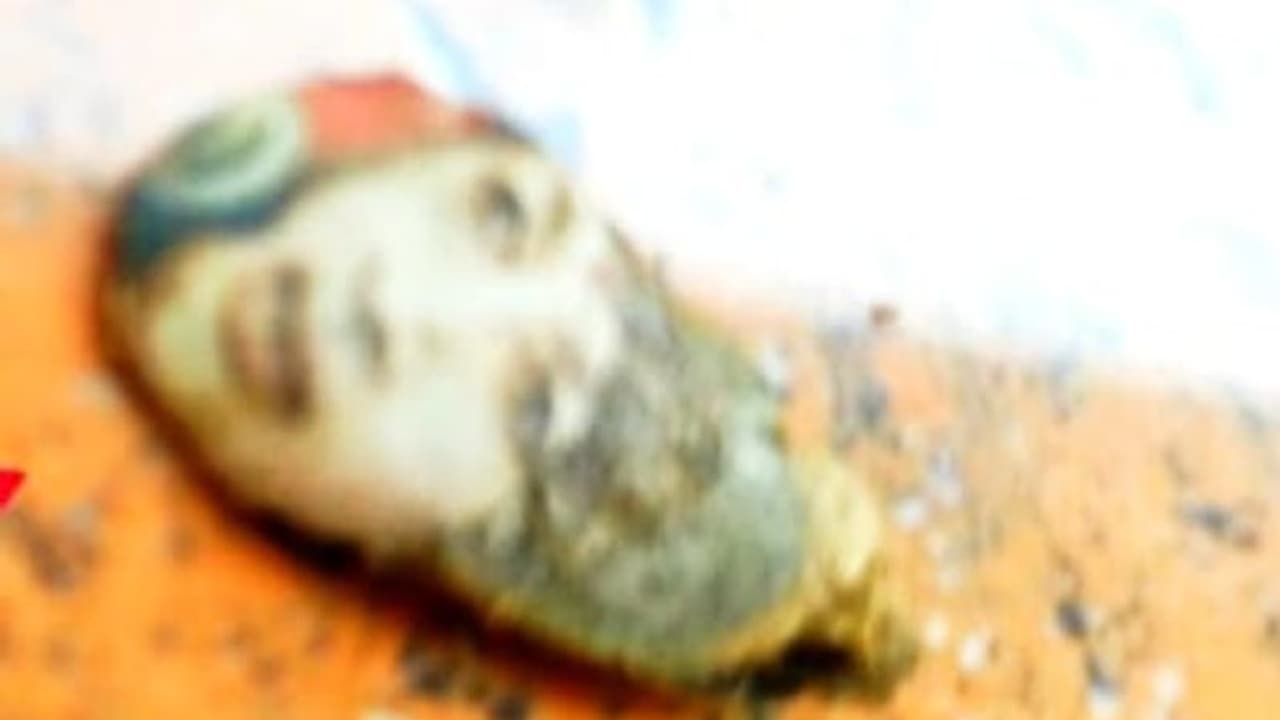 ಶಿವಮೊಗ್ಗ: ಚೆಲುವೆಯ ಅಂದದ ಮುಖದರ್ಶನ ನೀಡಿ 'ಮಾಯಾಂಗನೆ' ಕೀಟ ಕಣ್ಮರೆ? ಶಿವಮೊಗ್ಗ: ಚೆಲುವೆಯ ಅಂದದ ಮುಖದರ್ಶನ ನೀಡಿ 'ಮಾಯಾಂಗನೆ' ಕೀಟ ಕಣ್ಮರೆ?