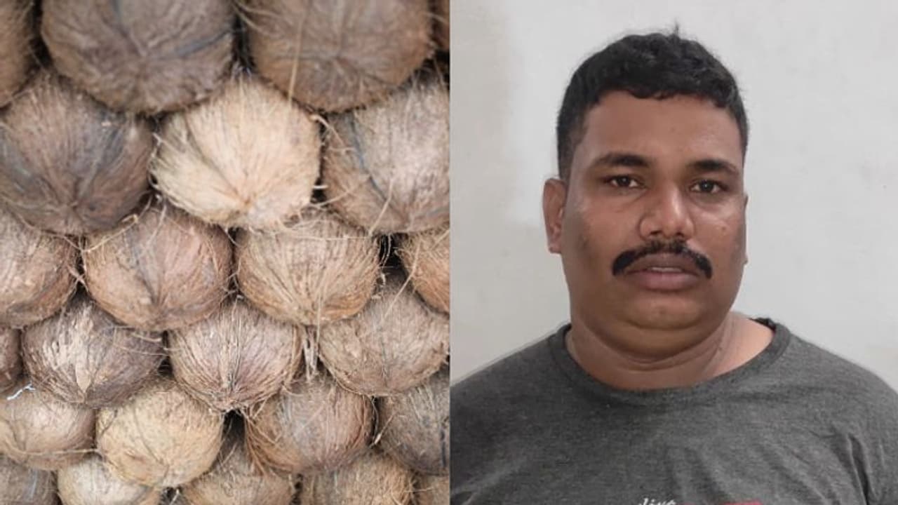 300 കിലോ തേങ്ങ തട്ടിയെടുത്ത് ഒളിവില് പോയ യുവാവ് 11 മാസത്തിന് ശേഷം അറസ്റ്റില് 300 കിലോ തേങ്ങ തട്ടിയെടുത്ത് ഒളിവില് പോയ യുവാവ് 11 മാസത്തിന് ശേഷം അറസ്റ്റില്