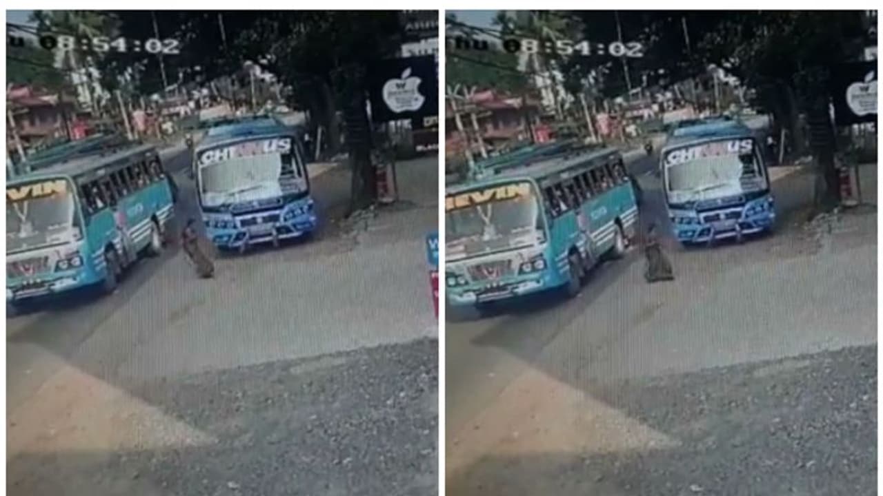 ബസുകളുടെ മരണപ്പാച്ചിൽ, യാത്രക്കാരി രക്ഷപ്പെട്ടത് തലനാരിഴക്ക്, നടപടിക്ക് മോട്ടോർ വാഹന വകുപ്പ് ബസുകളുടെ മരണപ്പാച്ചിൽ, യാത്രക്കാരി രക്ഷപ്പെട്ടത് തലനാരിഴക്ക്, നടപടിക്ക് മോട്ടോർ വാഹന വകുപ്പ്