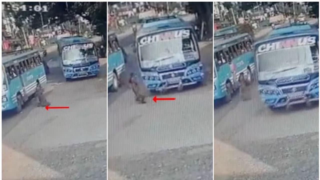 നാട്ടുകാര്ക്ക് ജീവിക്കണം, ചിന്നൂസിന്റെ മരണപ്പാച്ചിലിനി വേണ്ട; വടിയെടുത്ത് എംവിഡി, കിട്ടിയത് 'എട്ടിന്റെ പണി' നാട്ടുകാര്ക്ക് ജീവിക്കണം, ചിന്നൂസിന്റെ മരണപ്പാച്ചിലിനി വേണ്ട; വടിയെടുത്ത് എംവിഡി, കിട്ടിയത് 'എട്ടിന്റെ പണി'