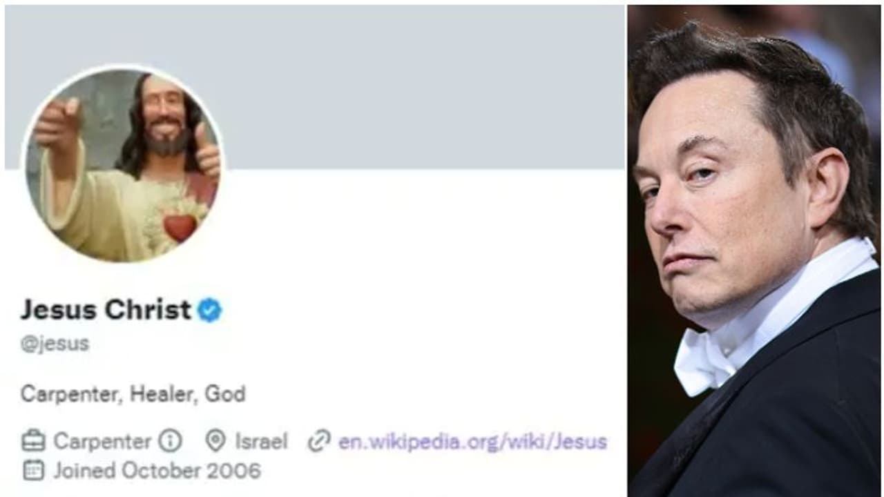 जानिए अचानक ऐसा क्या हुआ कि Twitter ने एक ही दिन में सस्पेंड कर दिया ब्लू टिक सब्सक्रिप्शन प्लान!