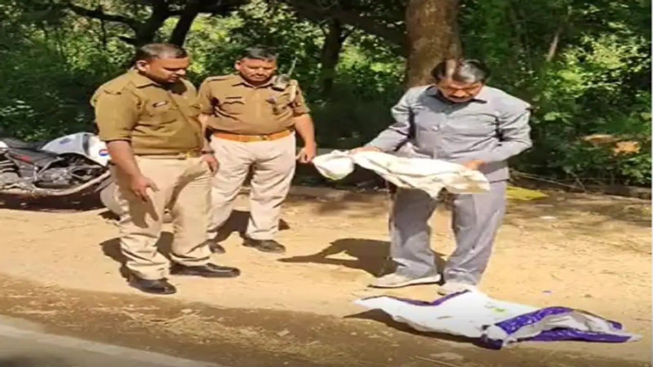 झांसी: दर्दनाक मंजर देखकर सहमे लोग, नवजात को मुंह में दबाकर ले जा रहा था कुत्ता, एक पैर भी था गायब झांसी: दर्दनाक मंजर देखकर सहमे लोग, नवजात को मुंह में दबाकर ले जा रहा था कुत्ता, एक पैर भी था गायब