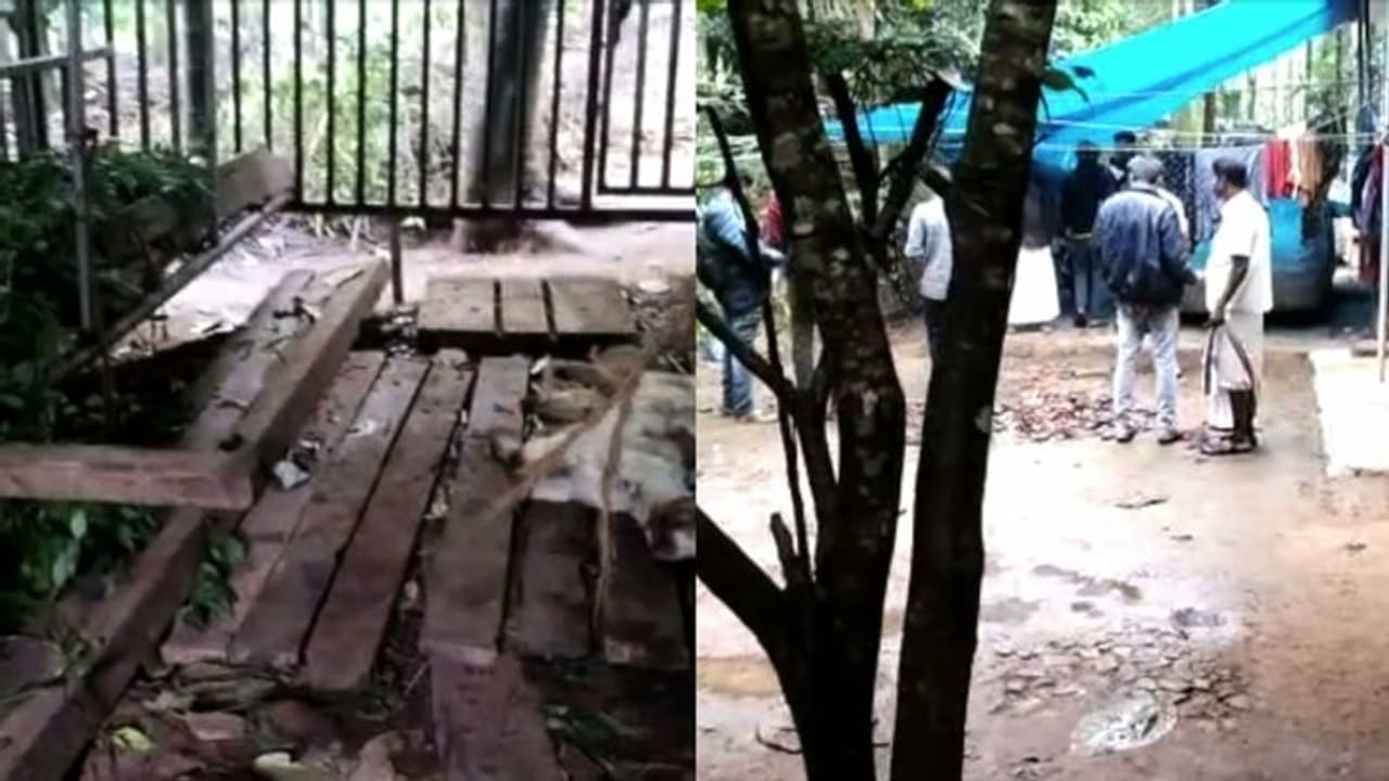 വയനാട്ടുകാരുടെ ഉറക്കം കെടുത്തി വീണ്ടും കടുവയുടെ ആക്രമണം; ബീനാച്ചിയിൽ വളർത്തു മൃഗങ്ങളെ കൊന്നു വയനാട്ടുകാരുടെ ഉറക്കം കെടുത്തി വീണ്ടും കടുവയുടെ ആക്രമണം; ബീനാച്ചിയിൽ വളർത്തു മൃഗങ്ങളെ കൊന്നു