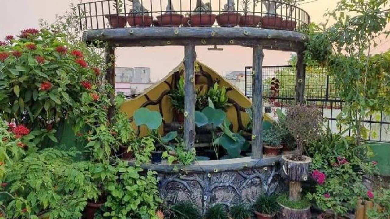 ടെറസിൽ വളരുന്നത് 18 തരം പഴങ്ങൾ, കൂടാതെ പച്ചക്കറികളും പൂക്കളും ടെറസിൽ വളരുന്നത് 18 തരം പഴങ്ങൾ, കൂടാതെ പച്ചക്കറികളും പൂക്കളും