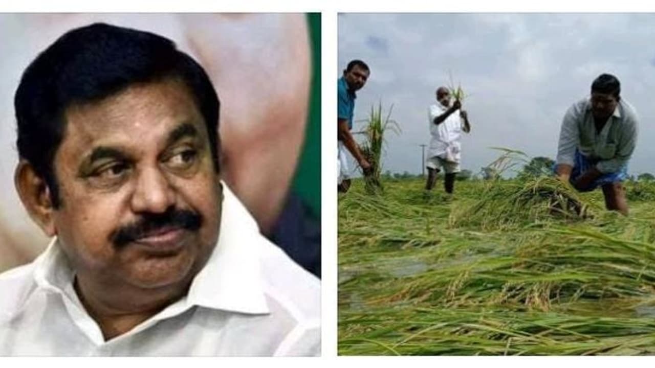 பெற்ற குழந்தைபோல் வளர்த்த பயிர்களை இழந்து வேதனையில் தவிக்கும் விவசாயிகள்.! இழப்பீடு வழங்க இபிஎஸ் கோரிக்கை பெற்ற குழந்தைபோல் வளர்த்த பயிர்களை இழந்து வேதனையில் தவிக்கும் விவசாயிகள்.! இழப்பீடு வழங்க இபிஎஸ் கோரிக்கை