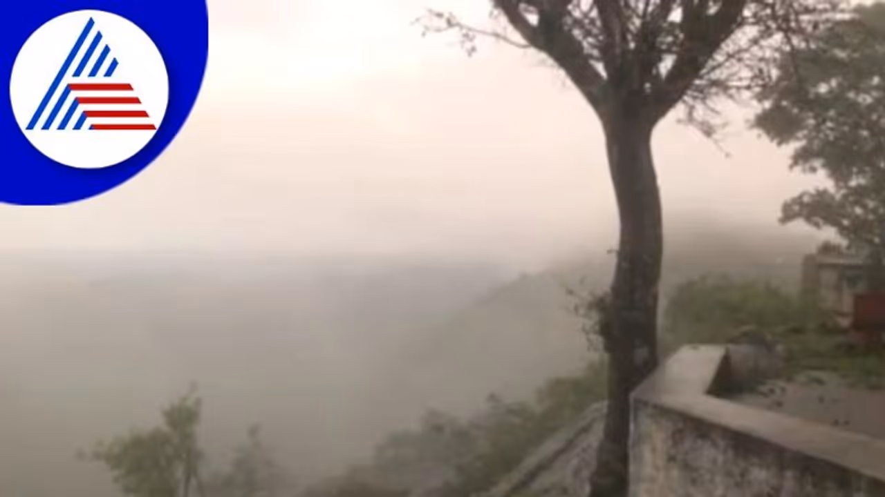 ವರ್ಷದ ಬಹುತೇಕ ದಿನಗಳು ಮದುವಣಗಿತ್ತಿಯಂತಿರುವ ರಾಜ್ಯದ ಶ್ವೇತಾದ್ರಿ ಪರ್ವತ 