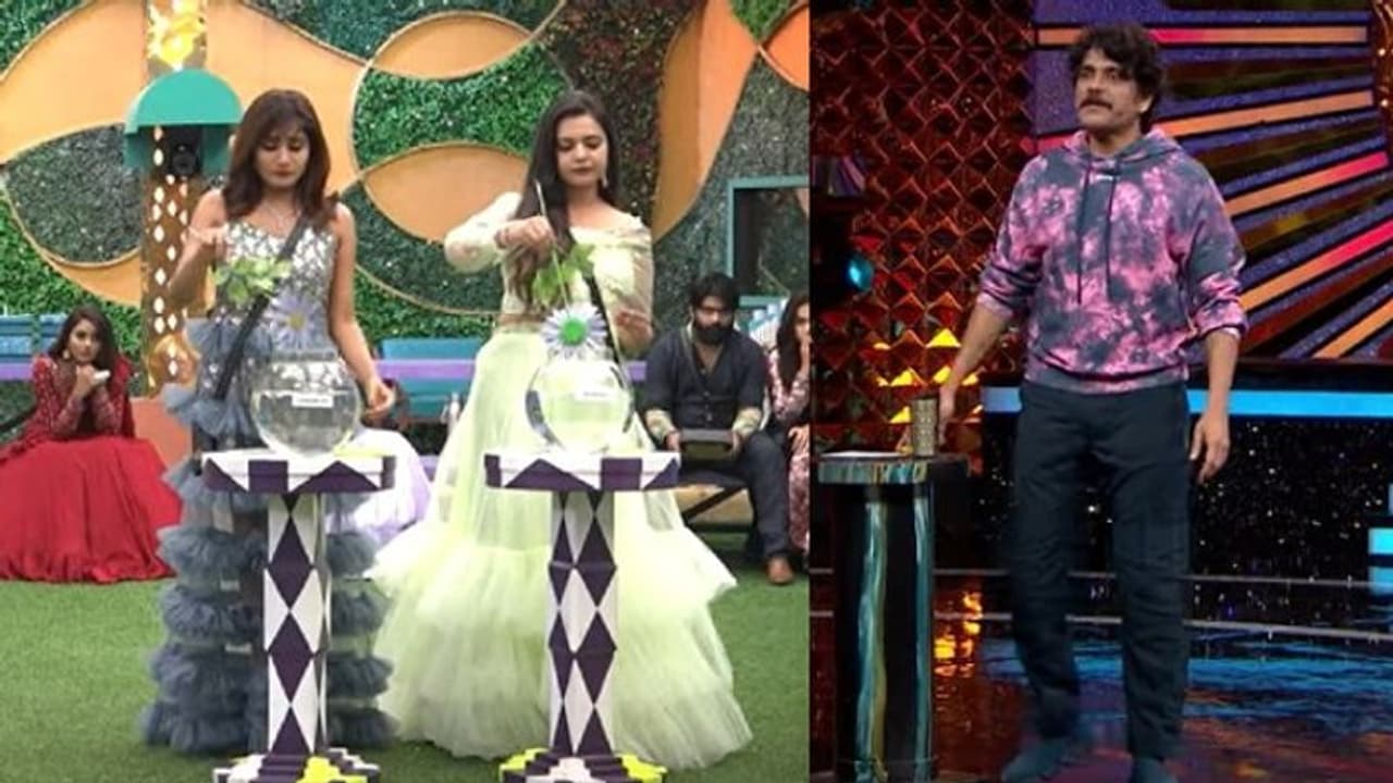 చివరి నిమిషంలో ట్విస్ట్ ఇచ్చిన బిగ్ బాస్ , మెరీనా అనుకుంటే.. బ్యూటీ క్వీన్ వాసంతి పై వేటు.. చివరి నిమిషంలో ట్విస్ట్ ఇచ్చిన బిగ్ బాస్ , మెరీనా అనుకుంటే.. బ్యూటీ క్వీన్ వాసంతి పై వేటు..