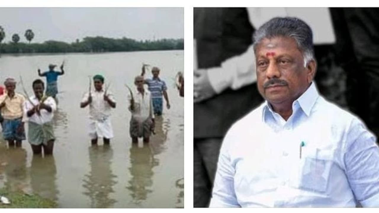 சீர்காழியில் வரலாறு காணாத மழையால் விவசாயிகள் பாதிப்பு..! ஹெக்டேருக்கு 75ஆயிரம் வழங்கிடுக..! ஓபிஎஸ் சீர்காழியில் வரலாறு காணாத மழையால் விவசாயிகள் பாதிப்பு..! ஹெக்டேருக்கு 75ஆயிரம் வழங்கிடுக..! ஓபிஎஸ்