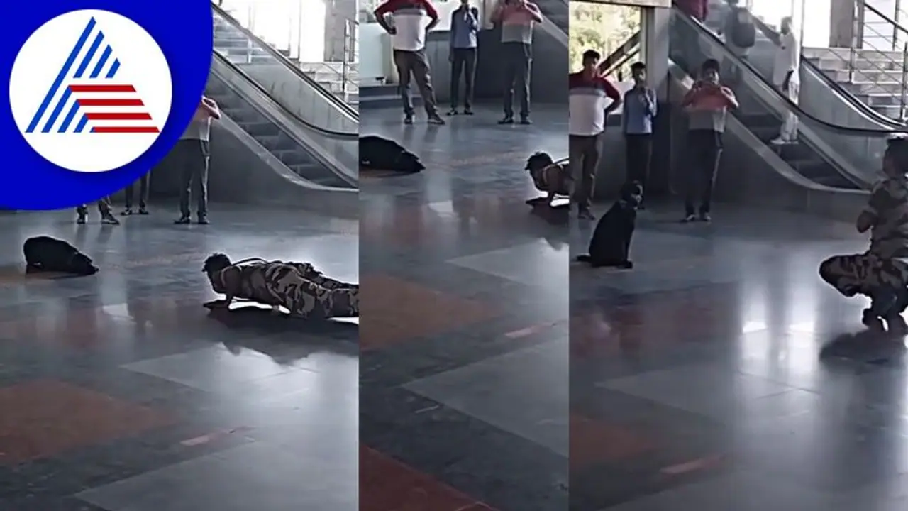  Viral Video: ಯೋಧನೊಂದಿಗೆ ಯೋಗ ಮಾಡುವ ಶ್ವಾನ: ವಿಡಿಯೋ ವೈರಲ್ 